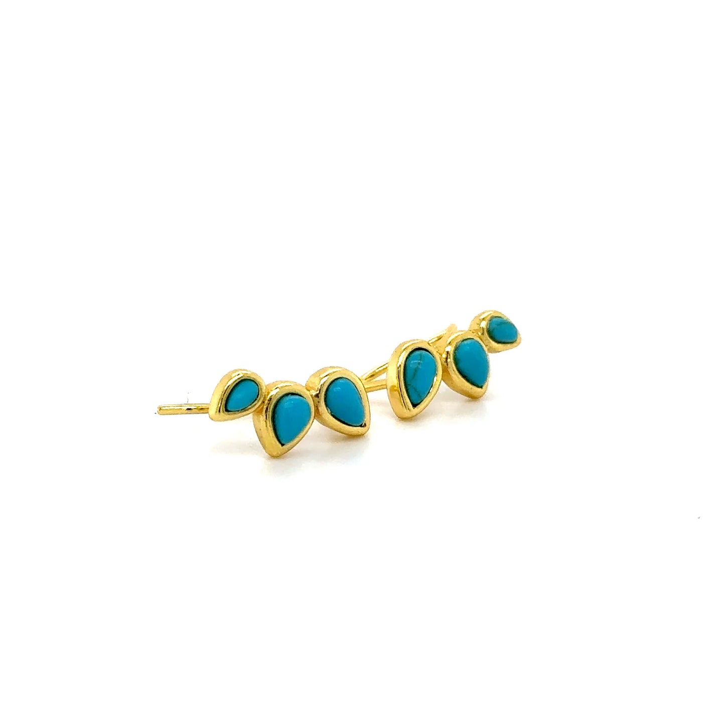 Turquoise Climbers