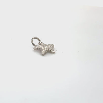 STAR FISH  CHARM